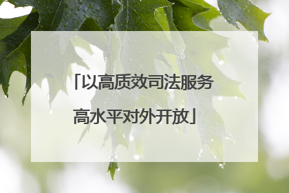 以高质效司法服务高水平对外开放