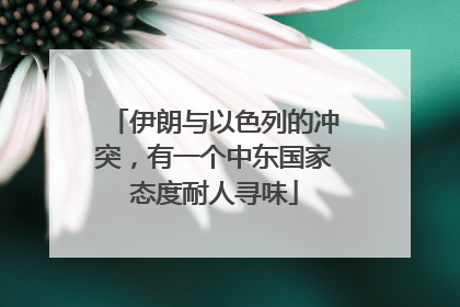 伊朗与以色列的冲突，有一个中东国家态度耐人寻味