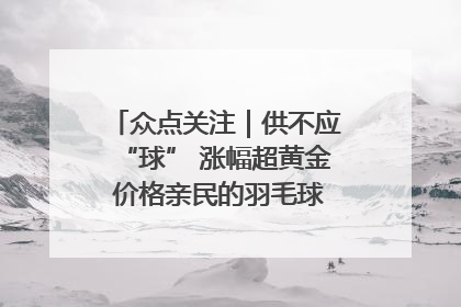 众点关注｜供不应“球” 涨幅超黄金 价格亲民的羽毛球为何身价飞涨？