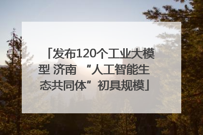 发布120个工业大模型 济南 “人工智能生态共同体”初具规模