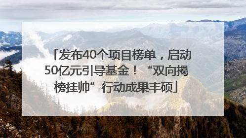 发布40个项目榜单，启动50亿元引导基金！“双向揭榜挂帅”行动成果丰硕