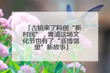 古镇来了科创“新村民”，青浦这场文化节也有了“赛博邻里”新故事