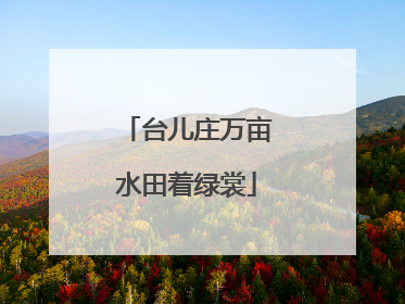 台儿庄万亩水田着绿裳