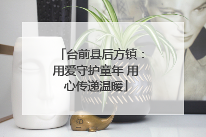 台前县后方镇：用爱守护童年 用心传递温暖