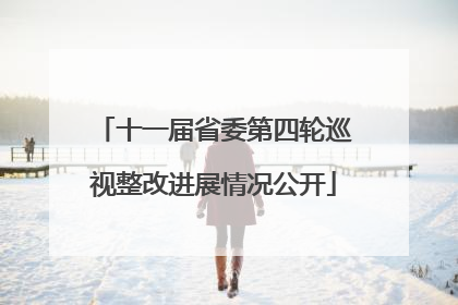 十一届省委第四轮巡视整改进展情况公开