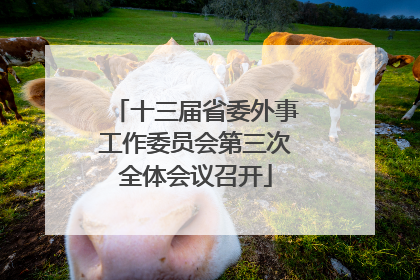 十三届省委外事工作委员会第三次全体会议召开