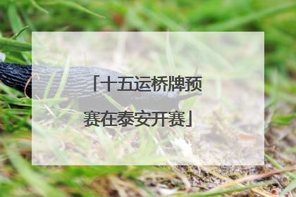 十五运桥牌预赛在泰安开赛