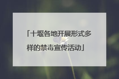 十堰各地开展形式多样的禁毒宣传活动