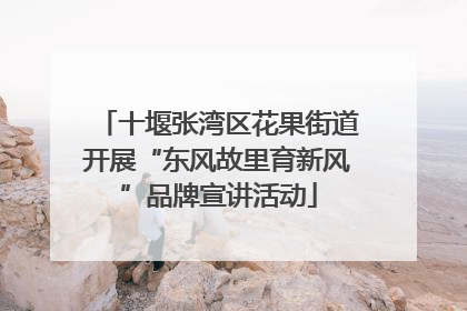 十堰张湾区花果街道开展“东风故里育新风”品牌宣讲活动
