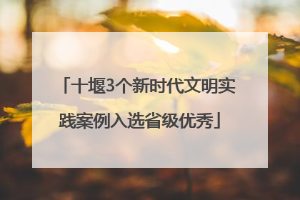 十堰3个新时代文明实践案例入选省级优秀