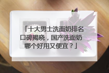 十大男士洗面奶排名口碑揭晓，国产洗面奶哪个好用又便宜？