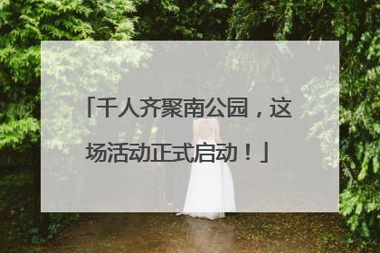 千人齐聚南公园，这场活动正式启动！