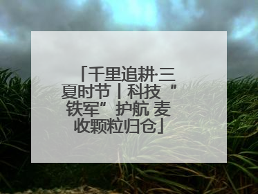 千里追耕·三夏时节丨科技“铁军”护航 麦收颗粒归仓