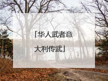 华人武者意大利传武