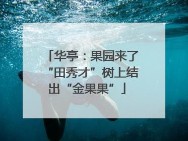华亭：果园来了“田秀才”树上结出“金果果”