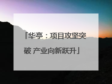 华亭：项目攻坚突破 产业向新跃升
