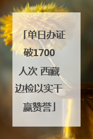 单日办证破1700人次 西藏边检以实干赢赞誉