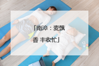 南漳：麦飘香 丰收忙