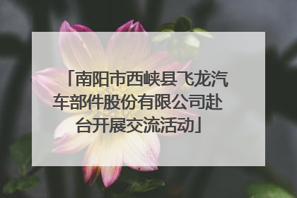 南阳市西峡县飞龙汽车部件股份有限公司赴台开展交流活动