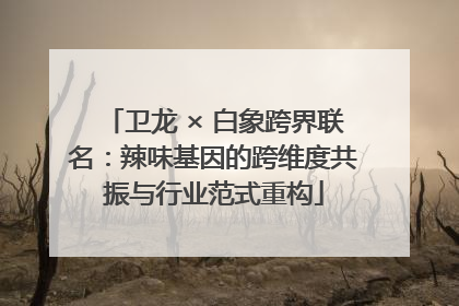 卫龙 × 白象跨界联名：辣味基因的跨维度共振与行业范式重构