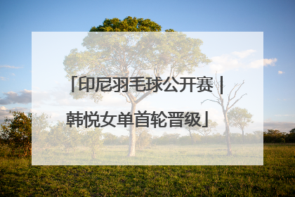印尼羽毛球公开赛｜韩悦女单首轮晋级