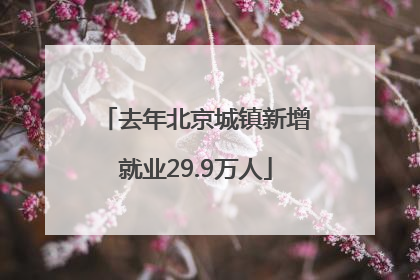 去年北京城镇新增就业29.9万人