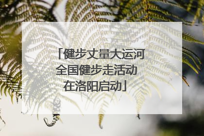 健步丈量大运河 全国健步走活动在洛阳启动