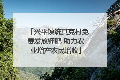 兴平镇统其克村免费发放钾肥 助力农业增产农民增收
