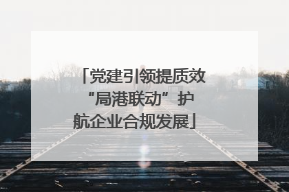 党建引领提质效 “局港联动”护航企业合规发展