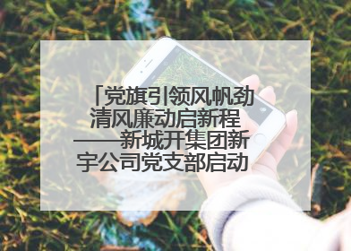 党旗引领风帆劲 清风廉动启新程——新城开集团新宇公司党支部启动“清风廉动党旗红”系列活动