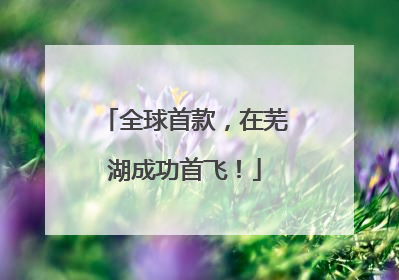全球首款，在芜湖成功首飞！