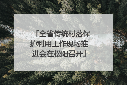 全省传统村落保护利用工作现场推进会在松阳召开