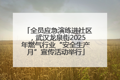 全员应急演练进社区，武汉龙泉街2025年燃气行业“安全生产月”宣传活动举行