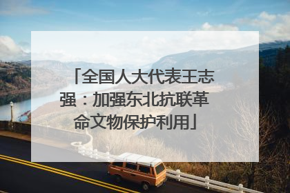 全国人大代表王志强：加强东北抗联革命文物保护利用