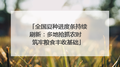 全国夏种进度条持续刷新：多地抢抓农时 筑牢粮食丰收基础
