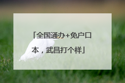 全国通办+免户口本，武昌打个样