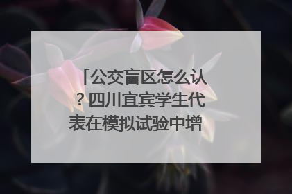 公交盲区怎么认？四川宜宾学生代表在模拟试验中增强乘车安全意识