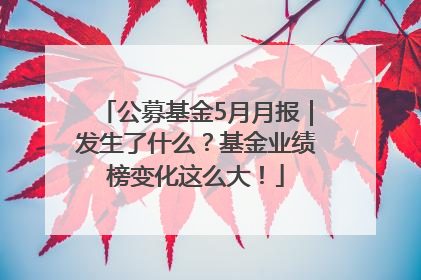 公募基金5月月报｜发生了什么？基金业绩榜变化这么大！