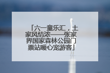 六一童乐汇，土家风情浓——张家界国家森林公园门票站暖心宠游客