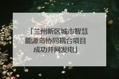 兰州新区城市智慧能源岛协同耦合项目成功并网发电