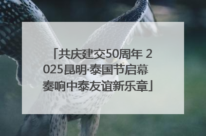 共庆建交50周年 2025昆明·泰国节启幕 奏响中泰友谊新乐章