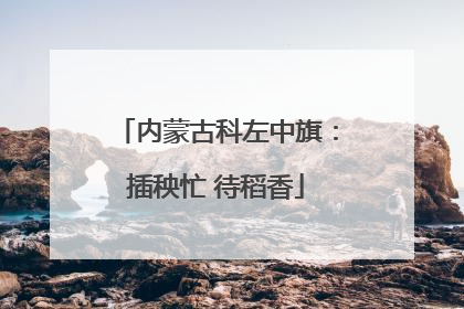 内蒙古科左中旗：插秧忙 待稻香