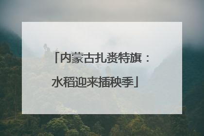 内蒙古扎赉特旗：水稻迎来插秧季