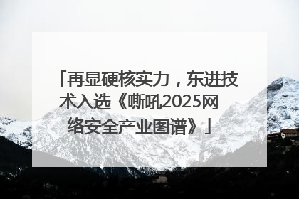 再显硬核实力，东进技术入选《嘶吼2025网络安全产业图谱》