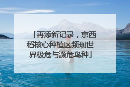 再添新记录，京西稻核心种植区频现世界极危与濒危鸟种