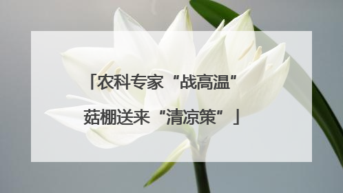 农科专家“战高温” 菇棚送来“清凉策”