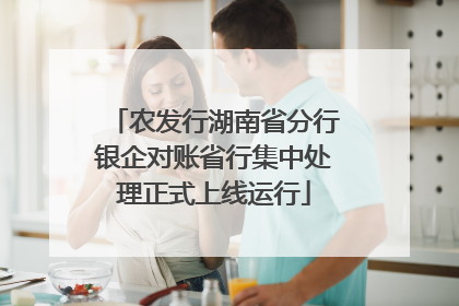 农发行湖南省分行银企对账省行集中处理正式上线运行