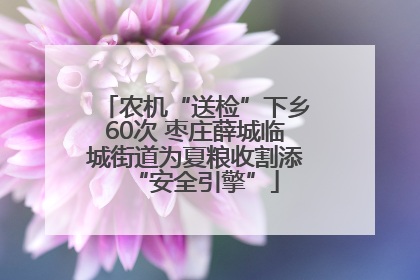 农机“送检”下乡60次 枣庄薛城临城街道为夏粮收割添“安全引擎”