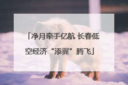 净月牵手亿航 长春低空经济“添翼”腾飞