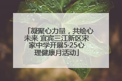凝聚心力量，共绘心未来 宜宾三江新区宋家中学开展5·25心理健康月活动